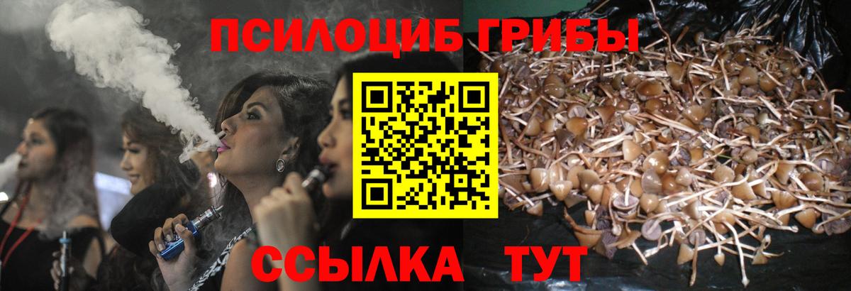 Псилоцибиновые грибы прущие грибы Киров