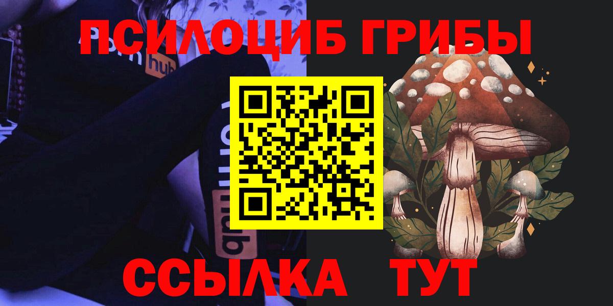 Псилоцибиновые грибы Psilocybine cubensis  Псилоцибиновые грибы MAGIC MUSHROOMS  Вход с VPN  Киров 